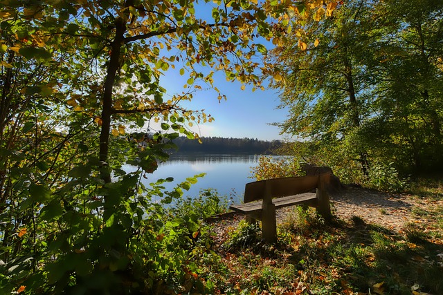 為一個顯而 為一個顯而