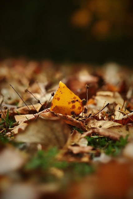 和商品销售 和商品销售