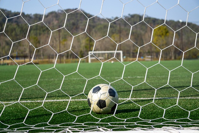 保罗和追梦 保罗和追梦