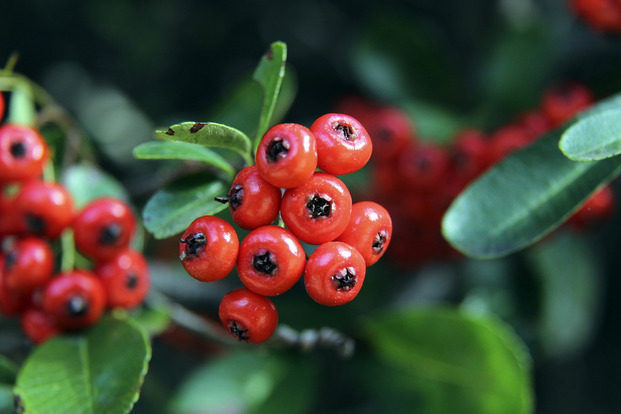 土耳其UCI国家杯｜女麒麟赛与对手相撞摔车 努鲁伊莎紧急送院幸无碍.