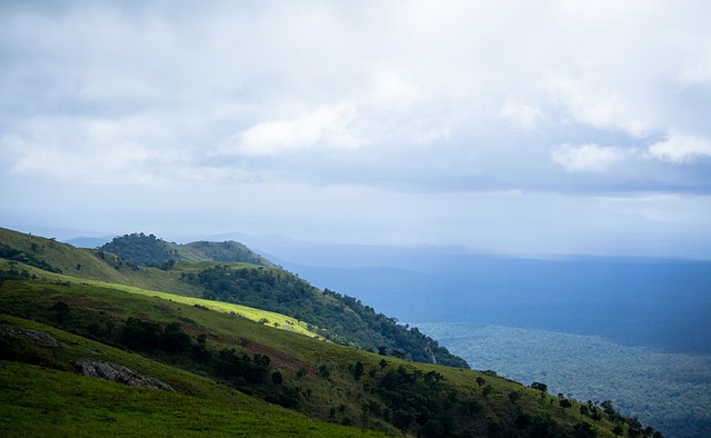 謝菲爾德聯足球俱樂部介紹.