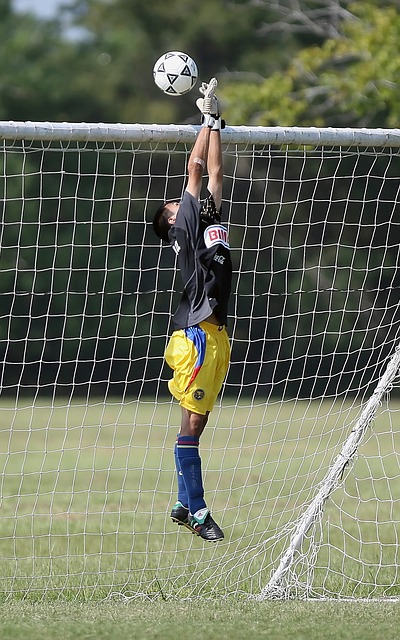 展示了其在 展示了其在