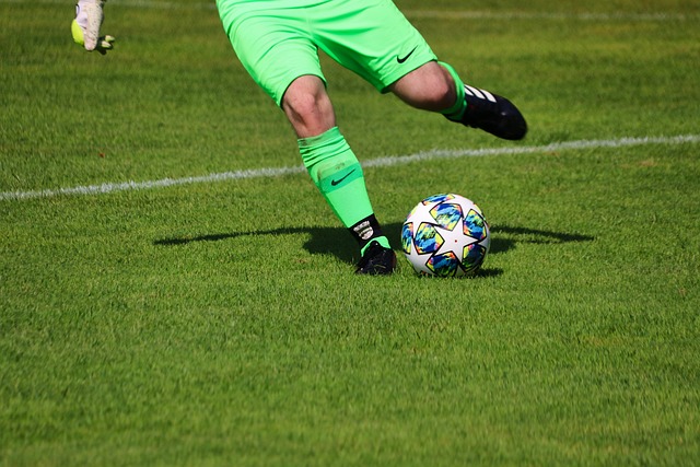 体上掀起了 体上掀起了